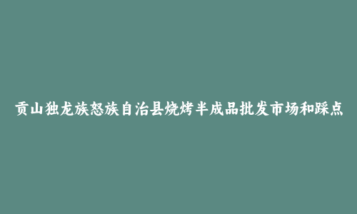 贡山独龙族怒族自治县烧烤半成品批发市场和踩点心得
