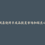 赤城县烧烤半成品批发市场和踩点心得