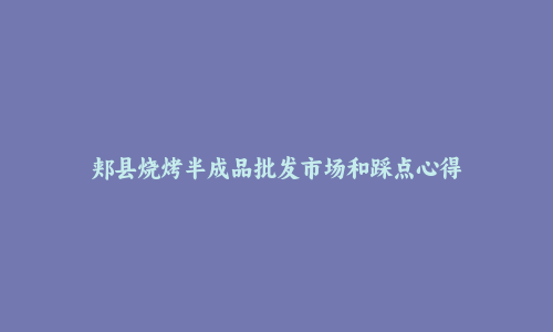 郏县烧烤半成品批发市场和踩点心得