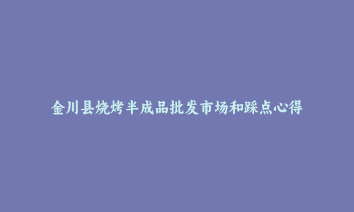 金川县烧烤半成品批发市场和踩点心得