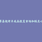 锦屏县烧烤半成品批发市场和踩点心得