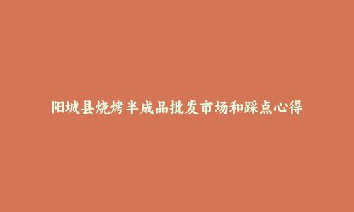 阳城县烧烤半成品批发市场和踩点心得