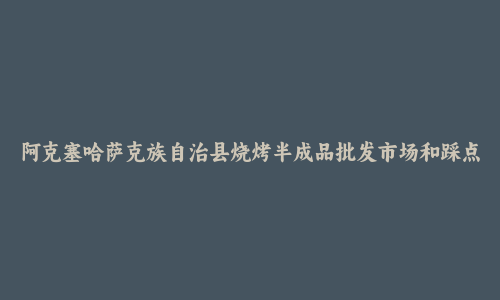 阿克塞哈萨克族自治县烧烤半成品批发市场和踩点心得