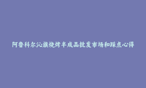 阿鲁科尔沁旗烧烤半成品批发市场和踩点心得