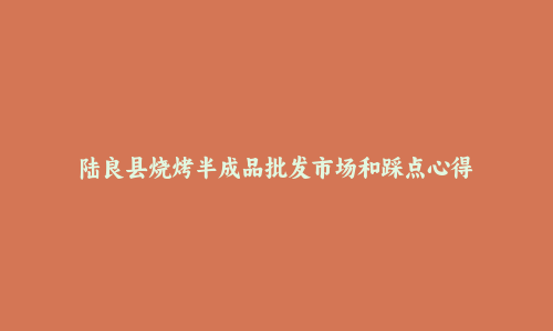 陆良县烧烤半成品批发市场和踩点心得
