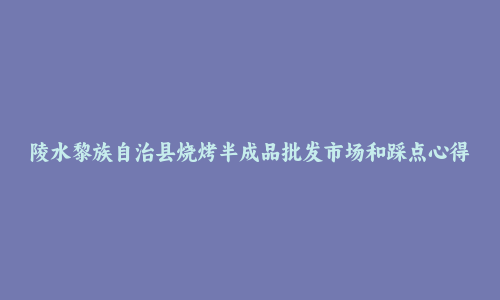 陵水黎族自治县烧烤半成品批发市场和踩点心得