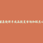 霞浦县烧烤半成品批发市场和踩点心得