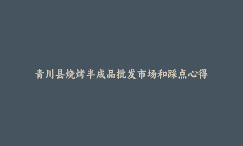 青川县烧烤半成品批发市场和踩点心得