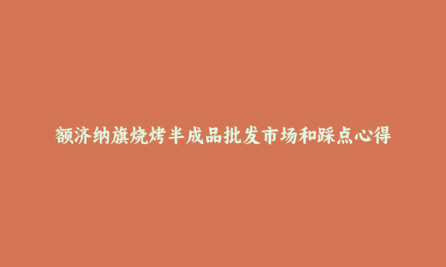 额济纳旗烧烤半成品批发市场和踩点心得