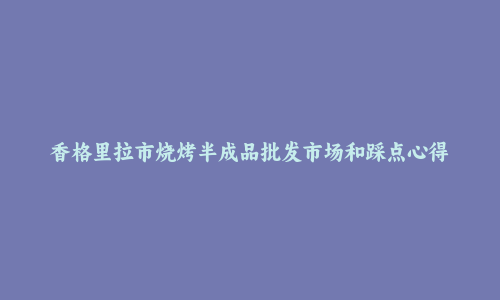 香格里拉市烧烤半成品批发市场和踩点心得