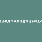 鸡泽县烧烤半成品批发市场和踩点心得