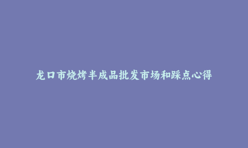 龙口市烧烤半成品批发市场和踩点心得