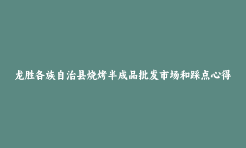 龙胜各族自治县烧烤半成品批发市场和踩点心得