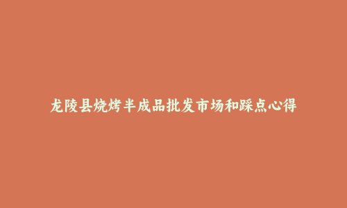 龙陵县烧烤半成品批发市场和踩点心得