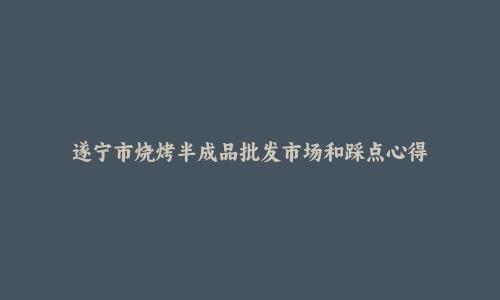 遂宁市烧烤半成品批发市场和踩点心得