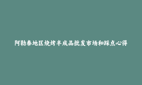 阿勒泰地区烧烤半成品批发市场和踩点心得