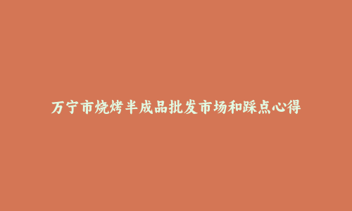 万宁市烧烤半成品批发市场和踩点心得