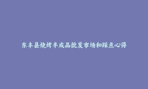 东丰县烧烤半成品批发市场和踩点心得