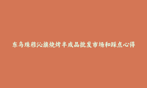 东乌珠穆沁旗烧烤半成品批发市场和踩点心得