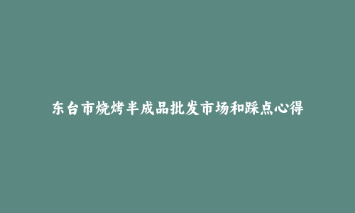 东台市烧烤半成品批发市场和踩点心得