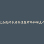 东辽县烧烤半成品批发市场和踩点心得