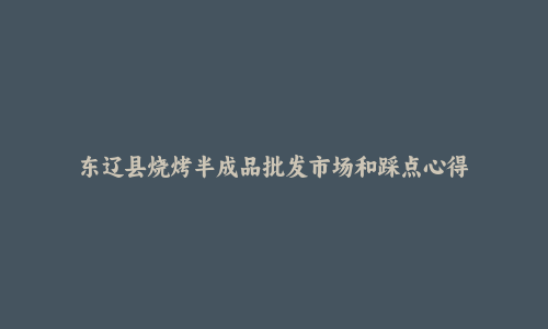 东辽县烧烤半成品批发市场和踩点心得