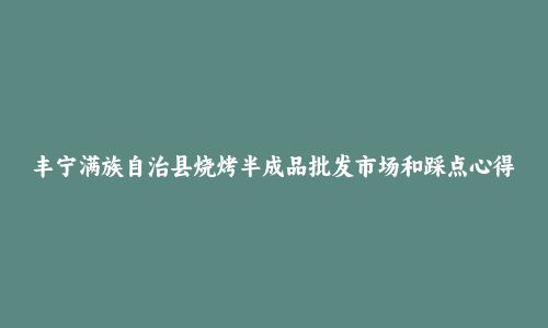 丰宁满族自治县烧烤半成品批发市场和踩点心得