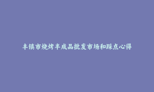 丰镇市烧烤半成品批发市场和踩点心得