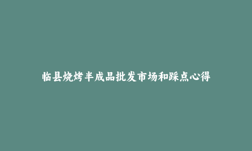 临县烧烤半成品批发市场和踩点心得