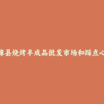 临漳县烧烤半成品批发市场和踩点心得