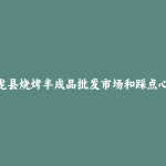 九龙县烧烤半成品批发市场和踩点心得