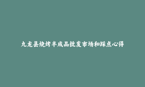 九龙县烧烤半成品批发市场和踩点心得