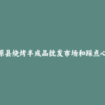 五原县烧烤半成品批发市场和踩点心得