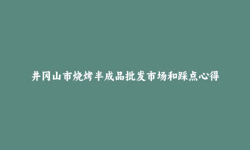 井冈山市烧烤半成品批发市场和踩点心得