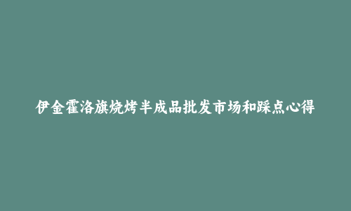 伊金霍洛旗烧烤半成品批发市场和踩点心得