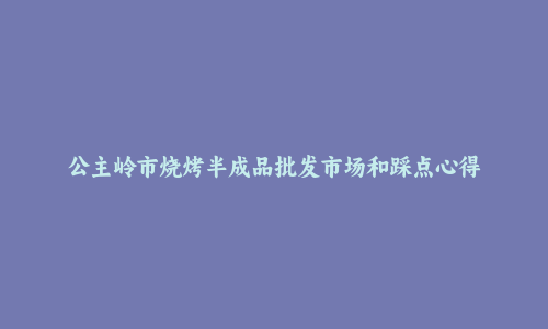 公主岭市烧烤半成品批发市场和踩点心得