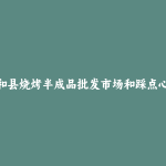 共和县烧烤半成品批发市场和踩点心得