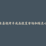 兴业县烧烤半成品批发市场和踩点心得