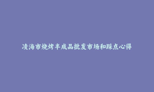 凌海市烧烤半成品批发市场和踩点心得