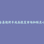 凤台县烧烤半成品批发市场和踩点心得