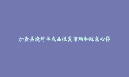 加查县烧烤半成品批发市场和踩点心得