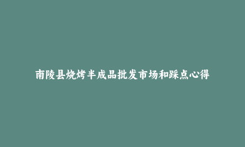 南陵县烧烤半成品批发市场和踩点心得
