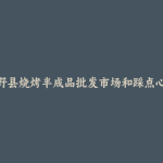 博野县烧烤半成品批发市场和踩点心得