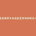 吉隆县烧烤半成品批发市场和踩点心得