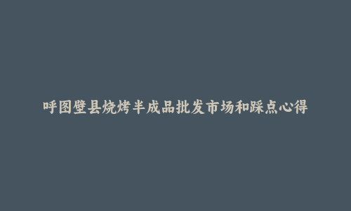 呼图壁县烧烤半成品批发市场和踩点心得