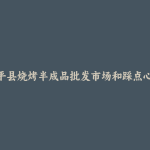 和平县烧烤半成品批发市场和踩点心得