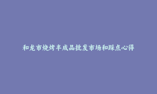 和龙市烧烤半成品批发市场和踩点心得