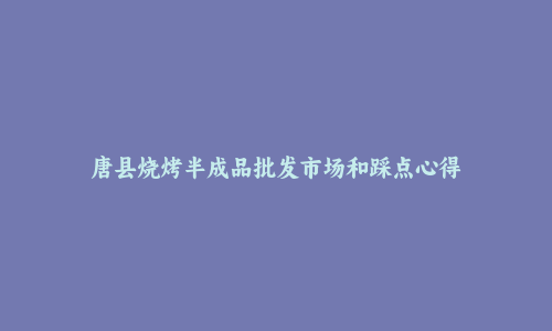 唐县烧烤半成品批发市场和踩点心得