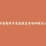 嘉祥县烧烤半成品批发市场和踩点心得
