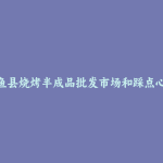 嘉鱼县烧烤半成品批发市场和踩点心得